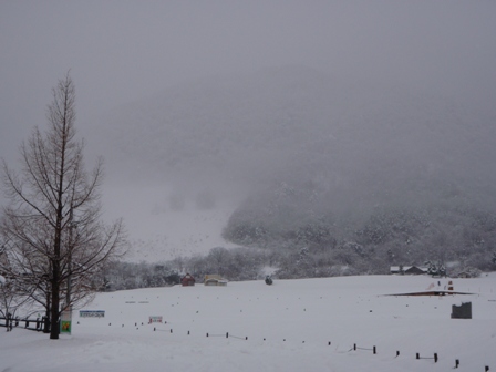 今日も、雪の中で・・
