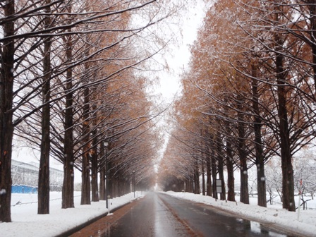 今日も、雪の中で・・