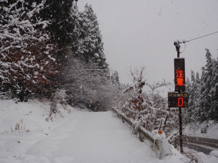 今日も、雪の中で・・