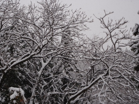 今日も、雪の中で・・