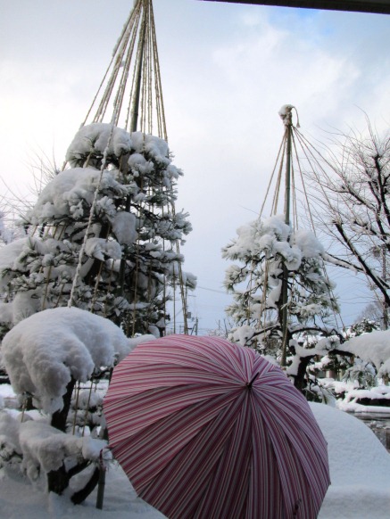 一日・・降雪でしたが・・