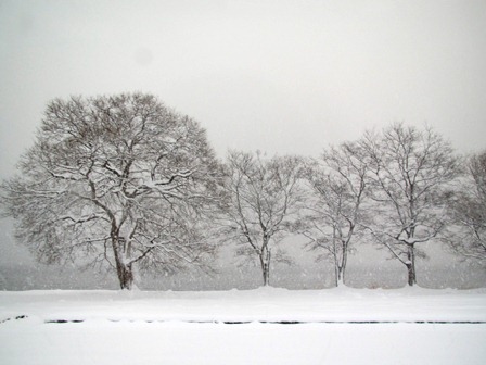 一日・・降雪でしたが・・