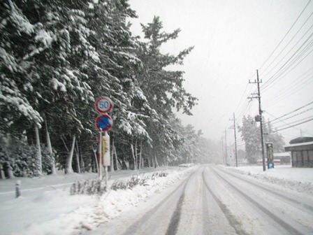 一日・・降雪でしたが・・