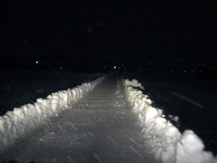 一日・・降雪でしたが・・
