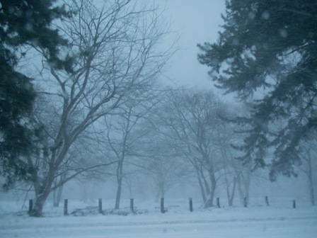 降ったり止んだりの雪の一日・・