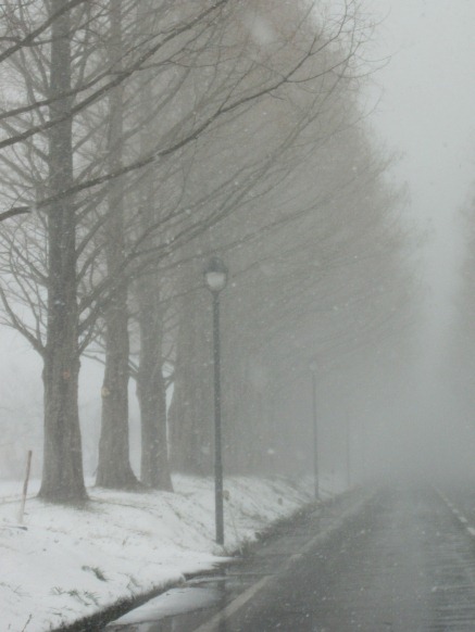 雪風景の中で・・・土曜日