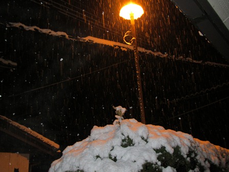 夜雪・・