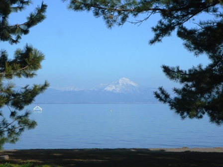 ・今津町保坂・福山聖子さん、快晴、朝、昼風景