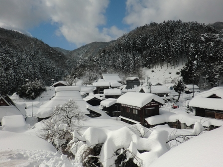 ・今津町保坂・福山聖子さん、快晴、朝、昼風景