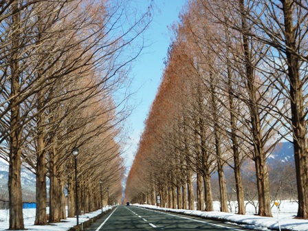 ・今津町保坂・福山聖子さん、快晴、朝、昼風景