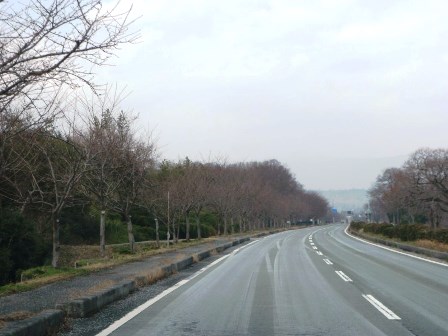 お彼岸さん・・日置前遺跡