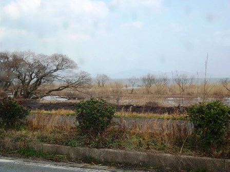 お彼岸さん・・日置前遺跡