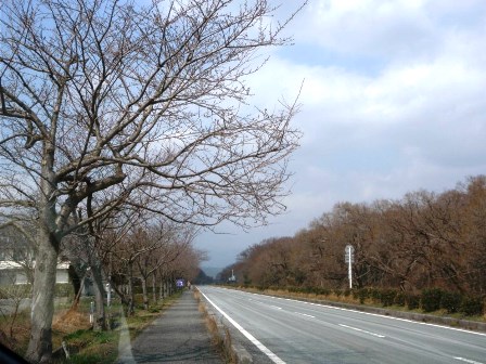 お彼岸さん・・日置前遺跡