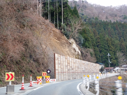 一足先に・・花冷え？？
