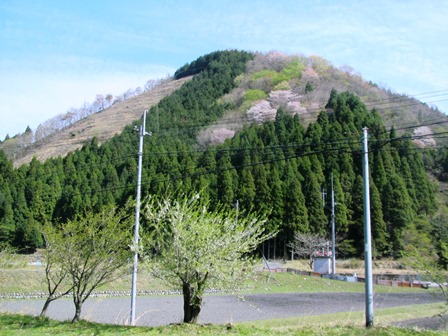 高島市・・・マキノ町海津から朽木