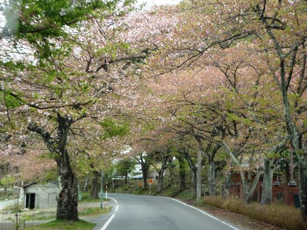 高島市・・・マキノ町海津から朽木