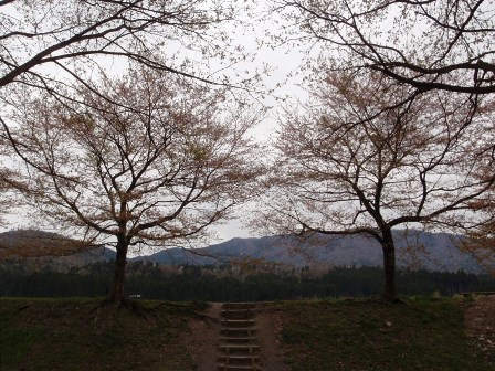 高島市・・・マキノ町海津から朽木