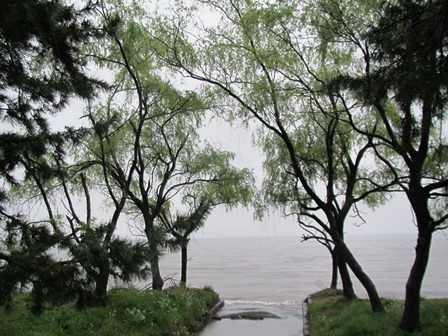 雨でした・・琵琶湖岸