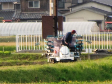 皐月の空のように・・・琵琶湖岸、今津港、田植が・・