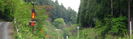 新旭風車村 ・・花々ルピナス