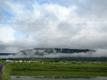 雨上がり琵琶湖風景と・・水玉ﾞ草葉