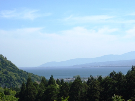 サラサドウダンツツジと高島市情報ポータルサイト