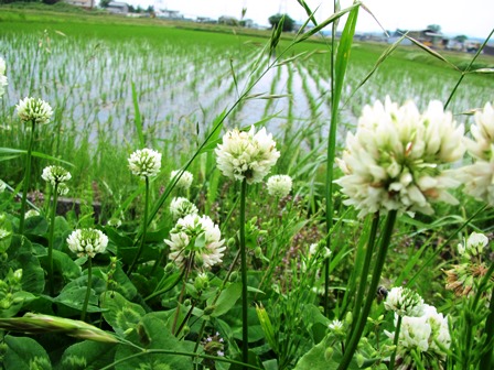 平穏な私でしたが・・でも！