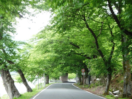 平穏な私でしたが・・でも！
