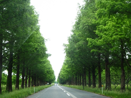 平穏な私でしたが・・でも！