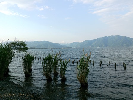 今日の琵琶湖周辺・・