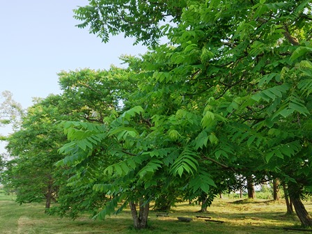 今日の琵琶湖周辺・・