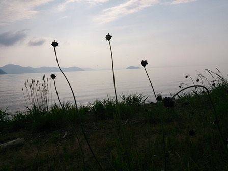 今日の琵琶湖周辺・・