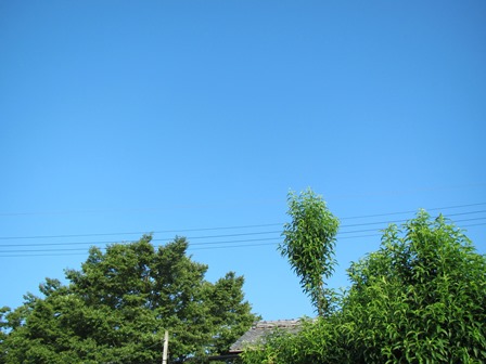 土曜・・朝晴れ