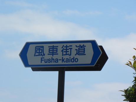 夏日より・・・でも、風も7月1日