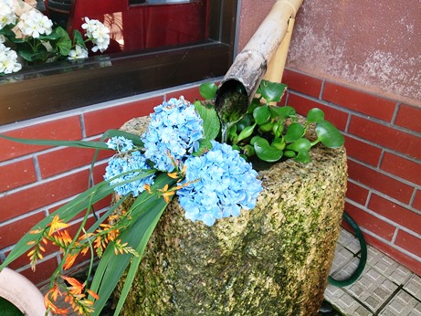 涼感な場見ながら・・・セミは？？