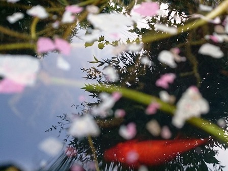 暑く一日・・暮れていきます