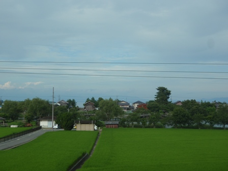 緑色ばかり目だって・・