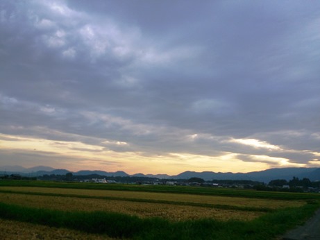梅ノ子運動公園