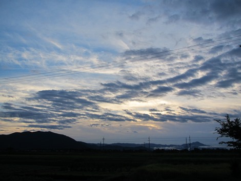 ひっそり・・朝