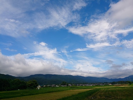 西日の帰り道で・・