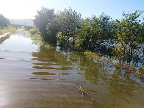 琵琶湖の水位が・・・