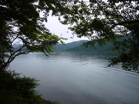 小雨が続きます・・お昼