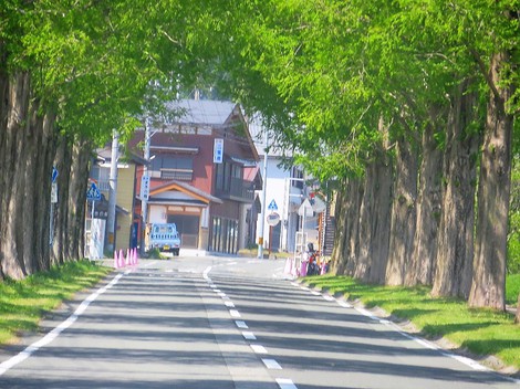 濃淡・・緑・・緑・・連休初日