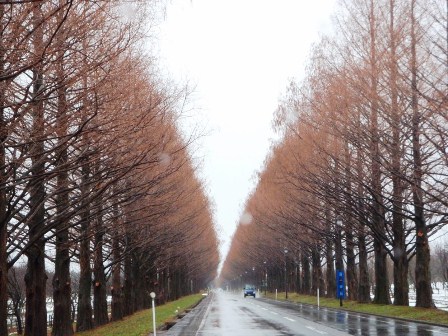 高島市マキノ町・・午前中様子