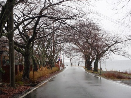 高島市マキノ町・・午前中様子