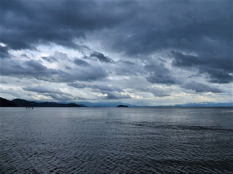 大雨もなく高島市・・琵琶湖と半夏生