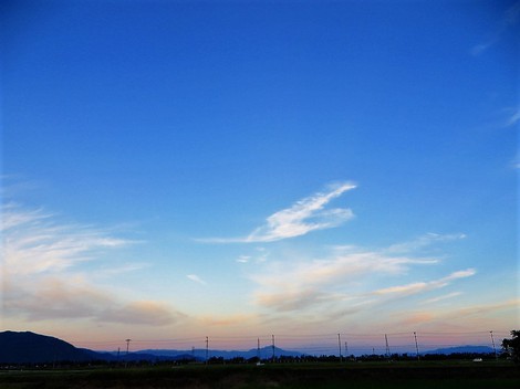 晴れの秋に心優しくなっていく・・