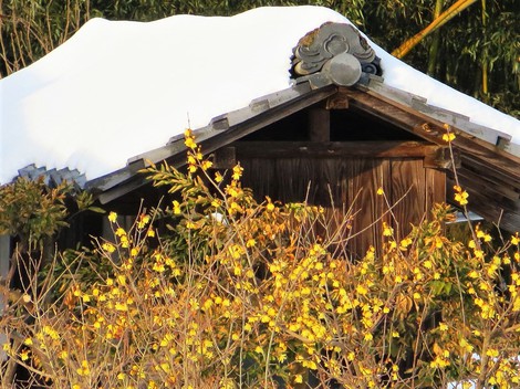 大雪でもなく～土曜日