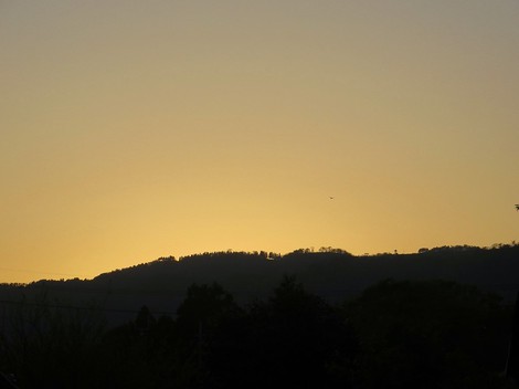 春の風景～晴れの景色でした・・木曜日