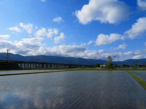 今日も気温は低かった・・でも青空も広がって夕方でした
